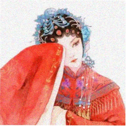 读者林女士头像